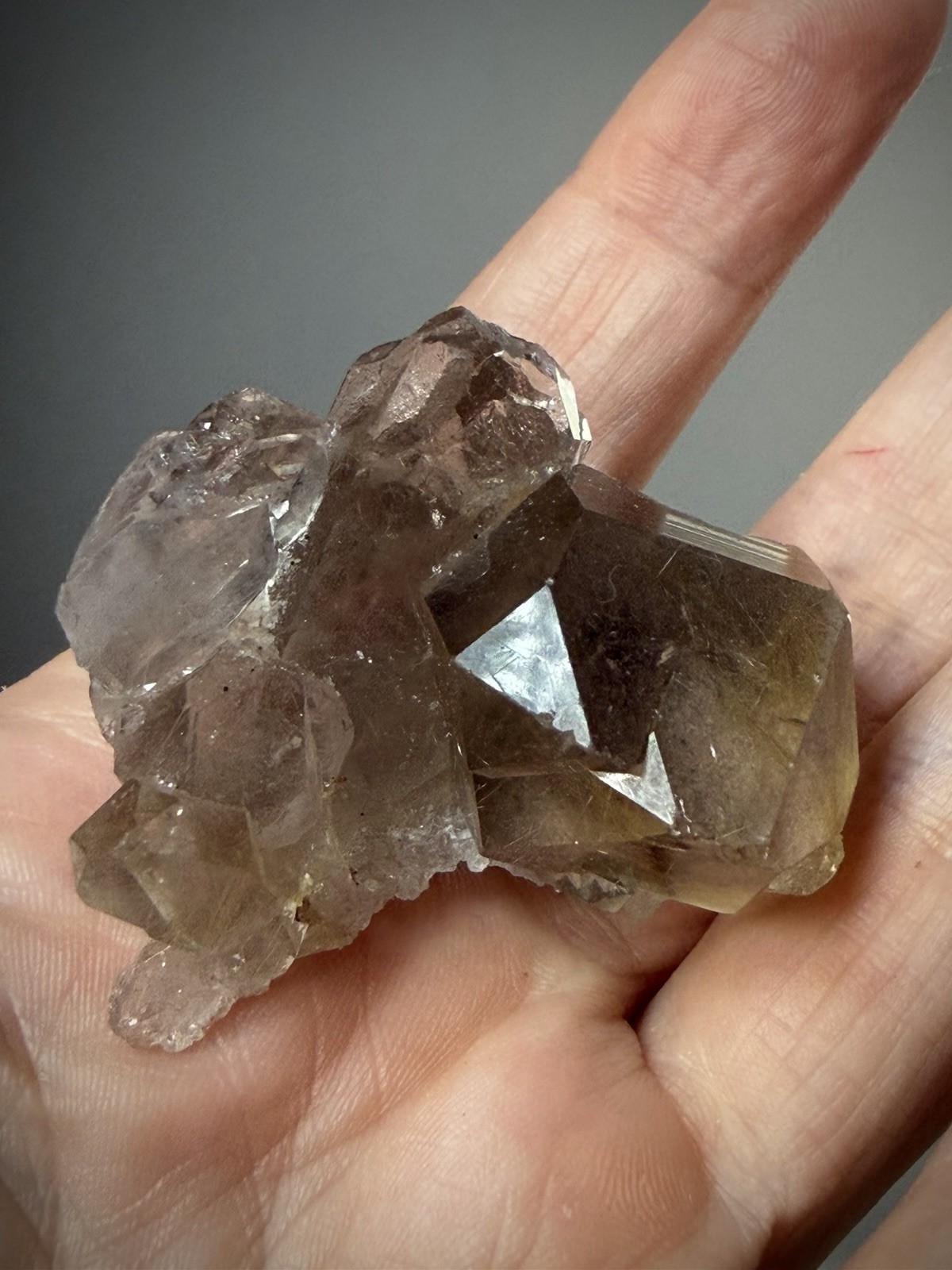 Rutilated Quartz Crystal Gold Rutile Inclusion Quartz Druzy Quartz Brazil