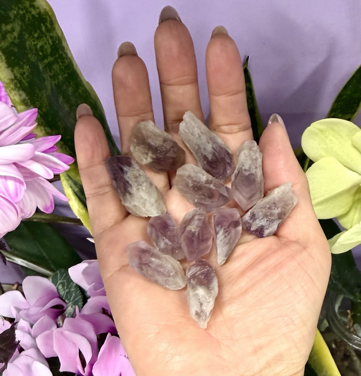 Wholesale 1 Lb Natural Amethyst W Pyramid Phantom Quartz Rough Crystal