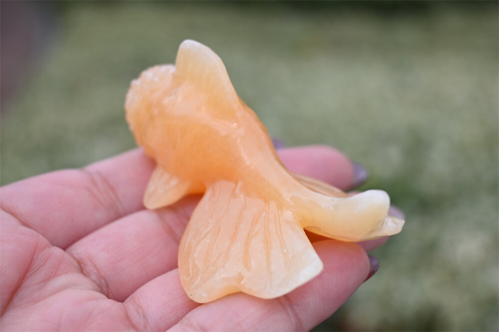 2.7” Natural Quartz Crystal goldfish creative Carved Reiki Crystal Heal Gift 1x