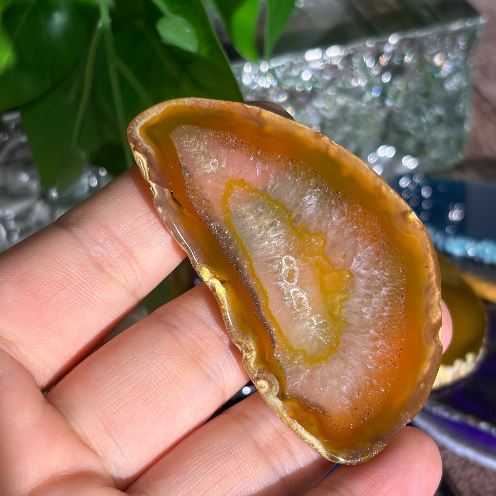 Agate Slices Bulk Lot – Random Colors & Shapes – Min 100g Guaranteed