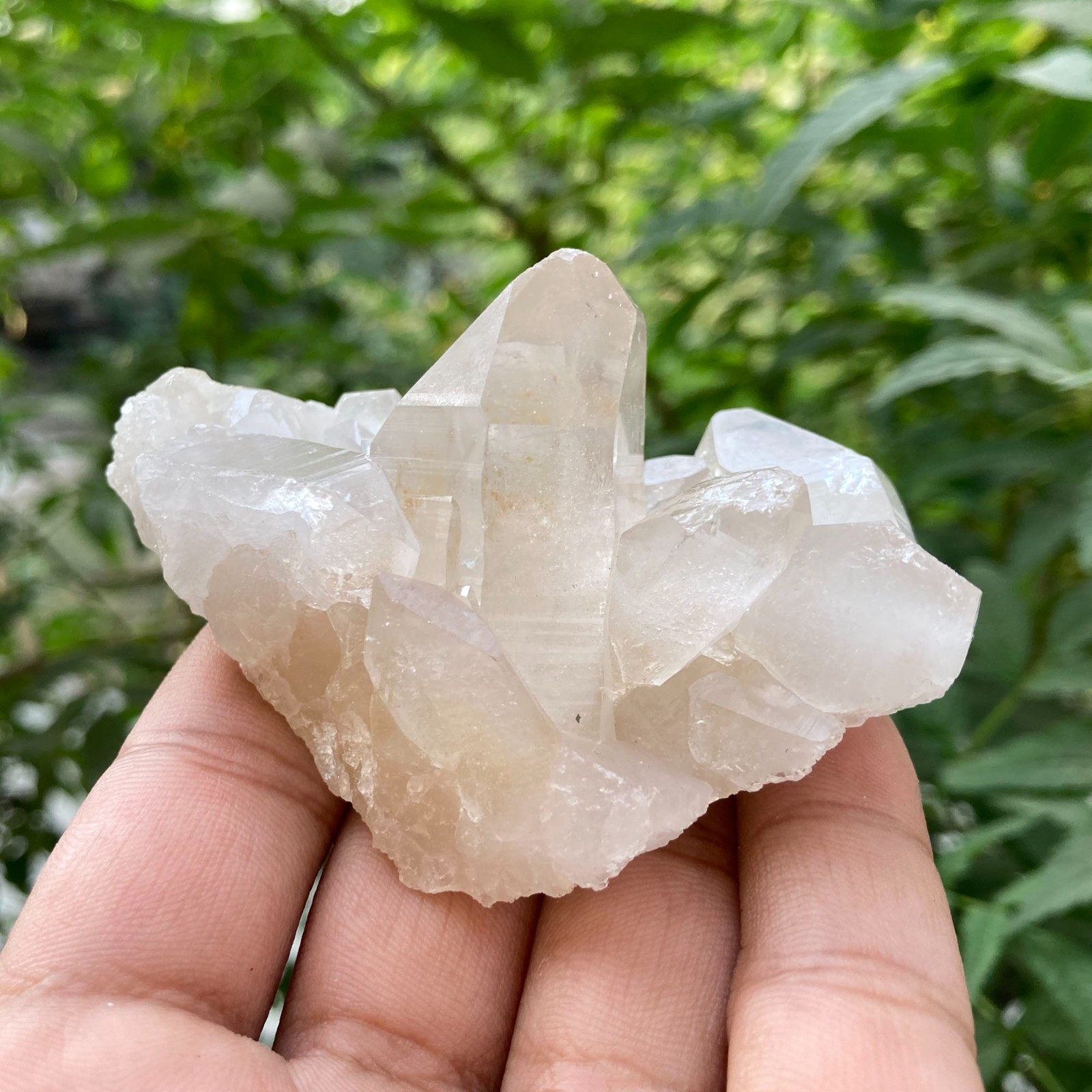 Natural Himalayan White Quartz Rough Crystal Stone HealingMinerals 0.26 lbs