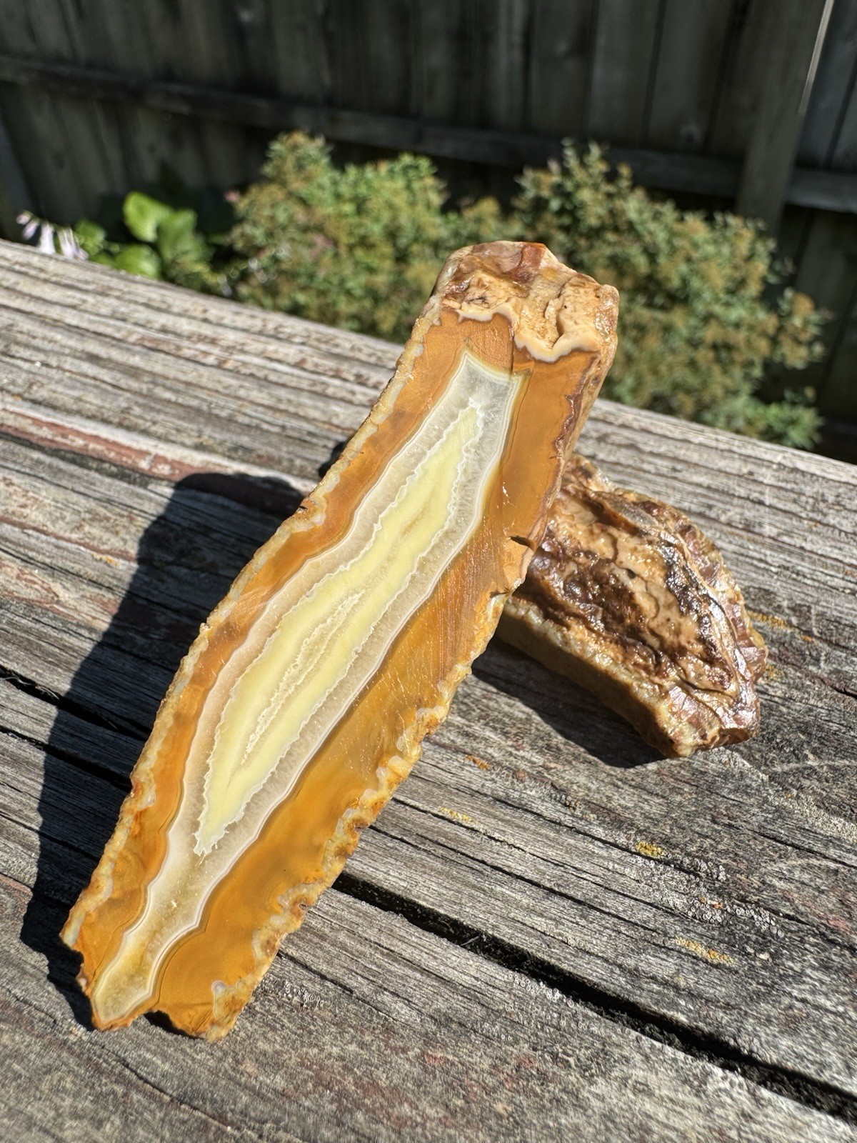 3.2oz Sumatran Agate *Rough Cut Natural Gemstone Collector Specimen ✨
