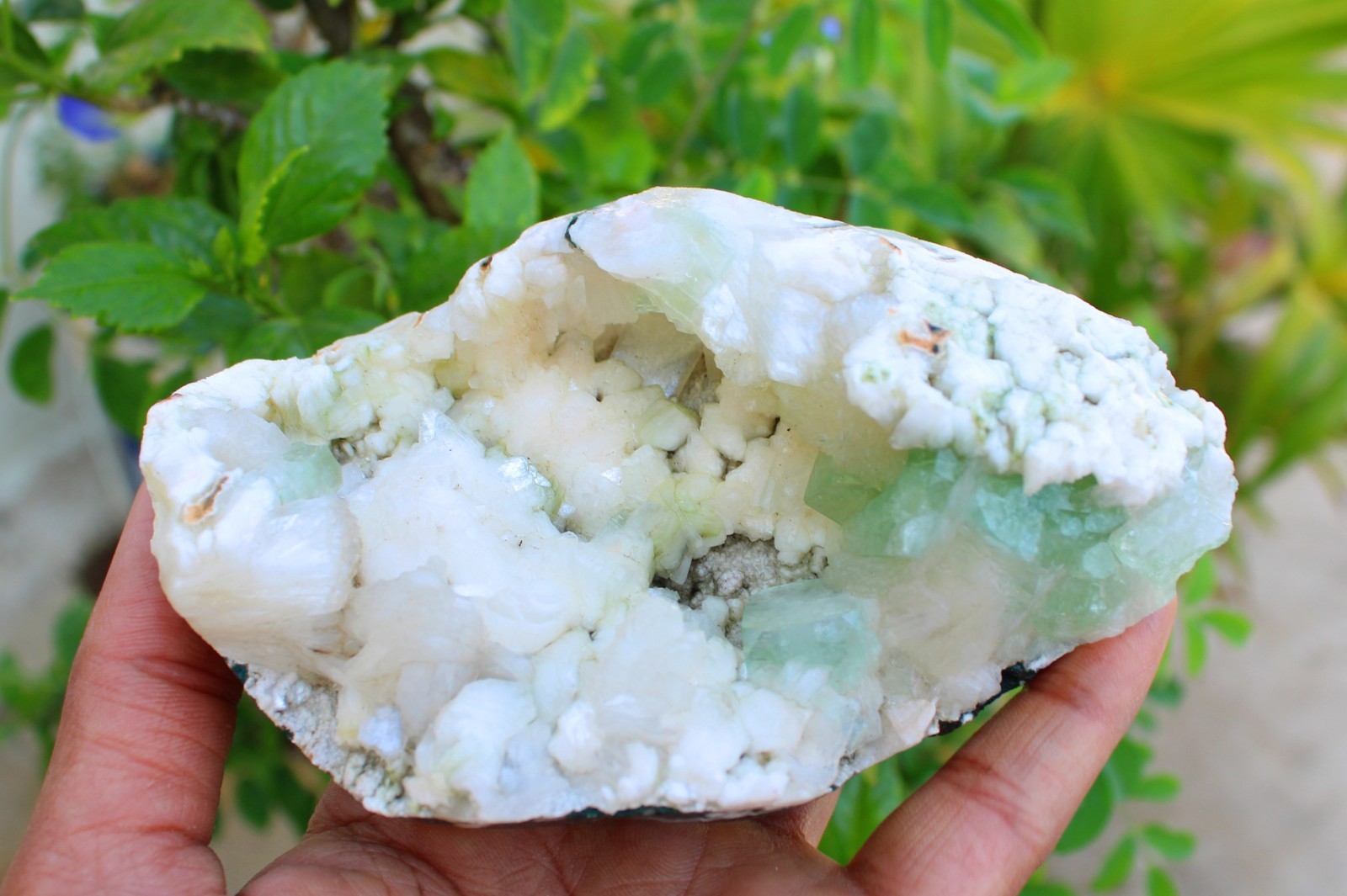 GREEN APOPHYLLITE CRYSTALS w/ HEULANDITE IN GEODE MINERALS SPECIMEN #A43
