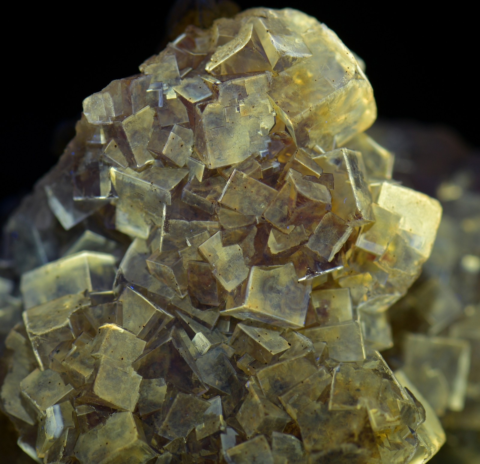 Transparent yellow Fluorite crystals, UV. Moscona Mine, Spain. 44 grams.