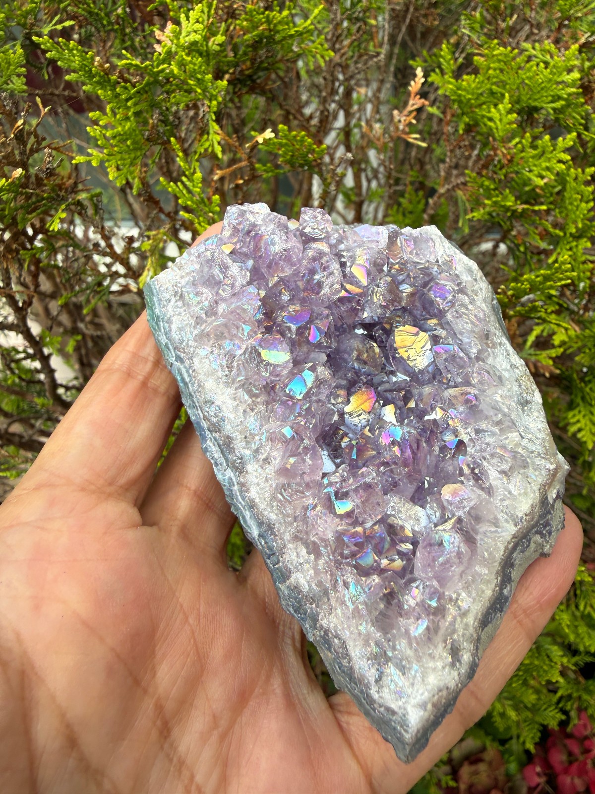 Amethyst Titanium Aura Crystal cluster rough raw Healing confidence Flashes