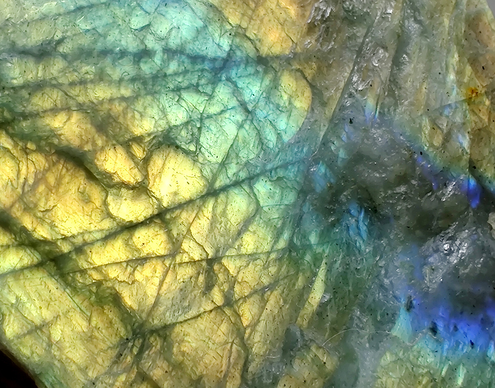 Labradorite with great color flash. From Madagascar. 180 grams.