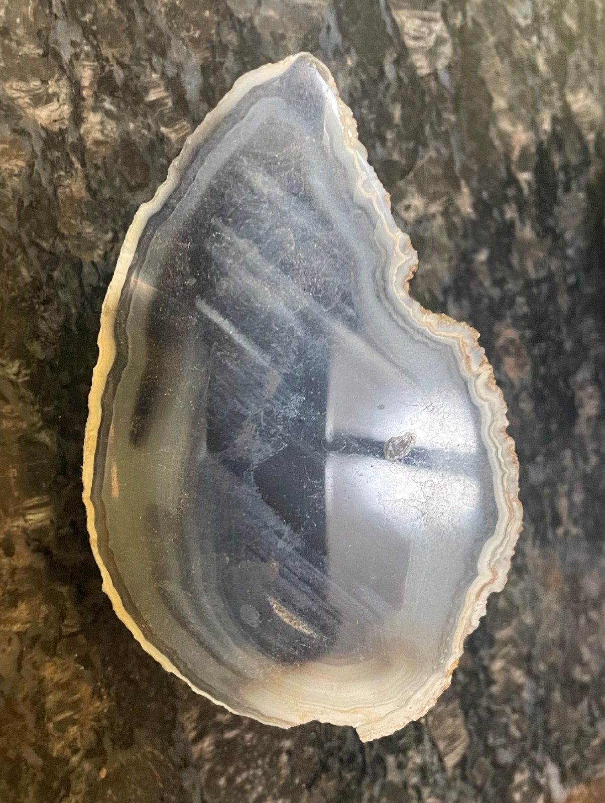 Set of 4 cut and polished geodes