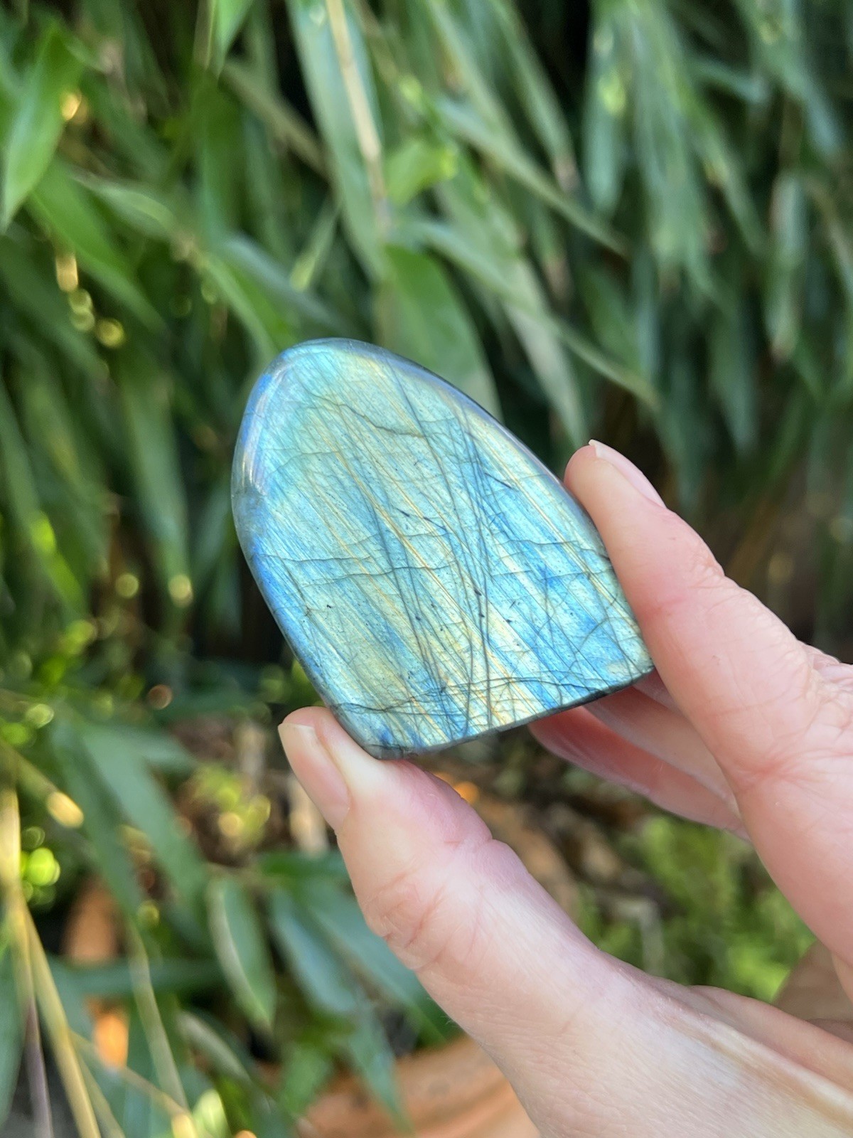 Deep Blue Labradorite Freeform Iridescent Crystal AAA+ 22