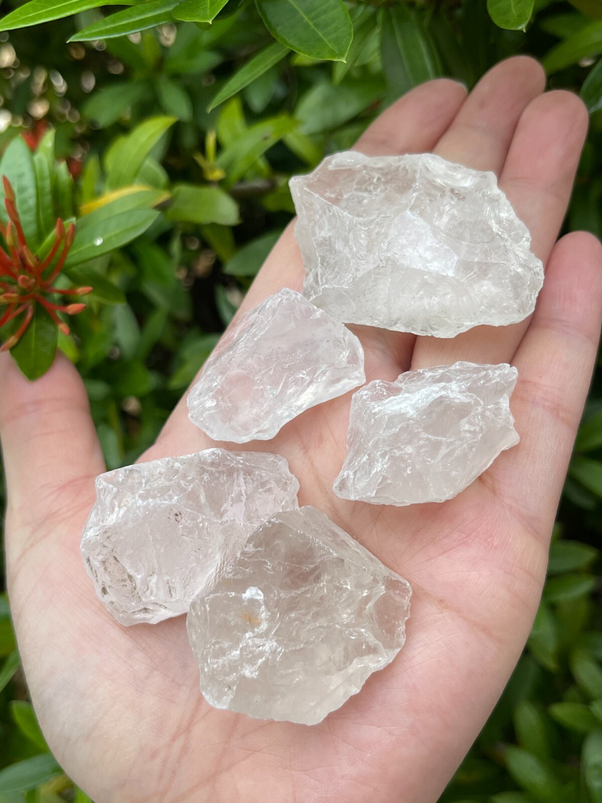 Natural Rough Clear Quartz Chunks, 1-2″ Raw Clear Quartz, Wholesale Bulk Lot