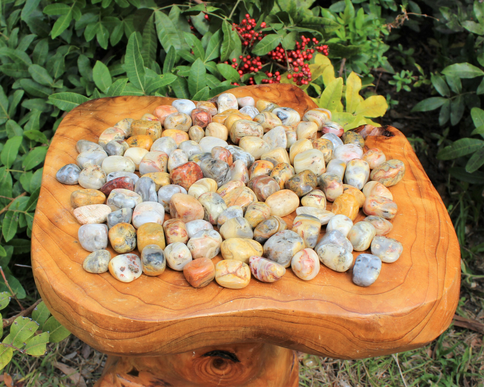 Bulk 1/4 lb lot Crazy Lace Agate Tumbled Stone (Crystal Healing Gemstone) 4 oz