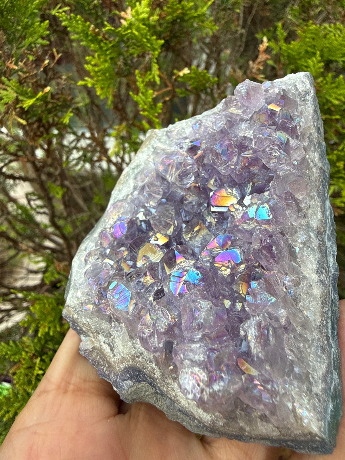 Amethyst Titanium Aura Crystal cluster rough raw Healing confidence Flashes