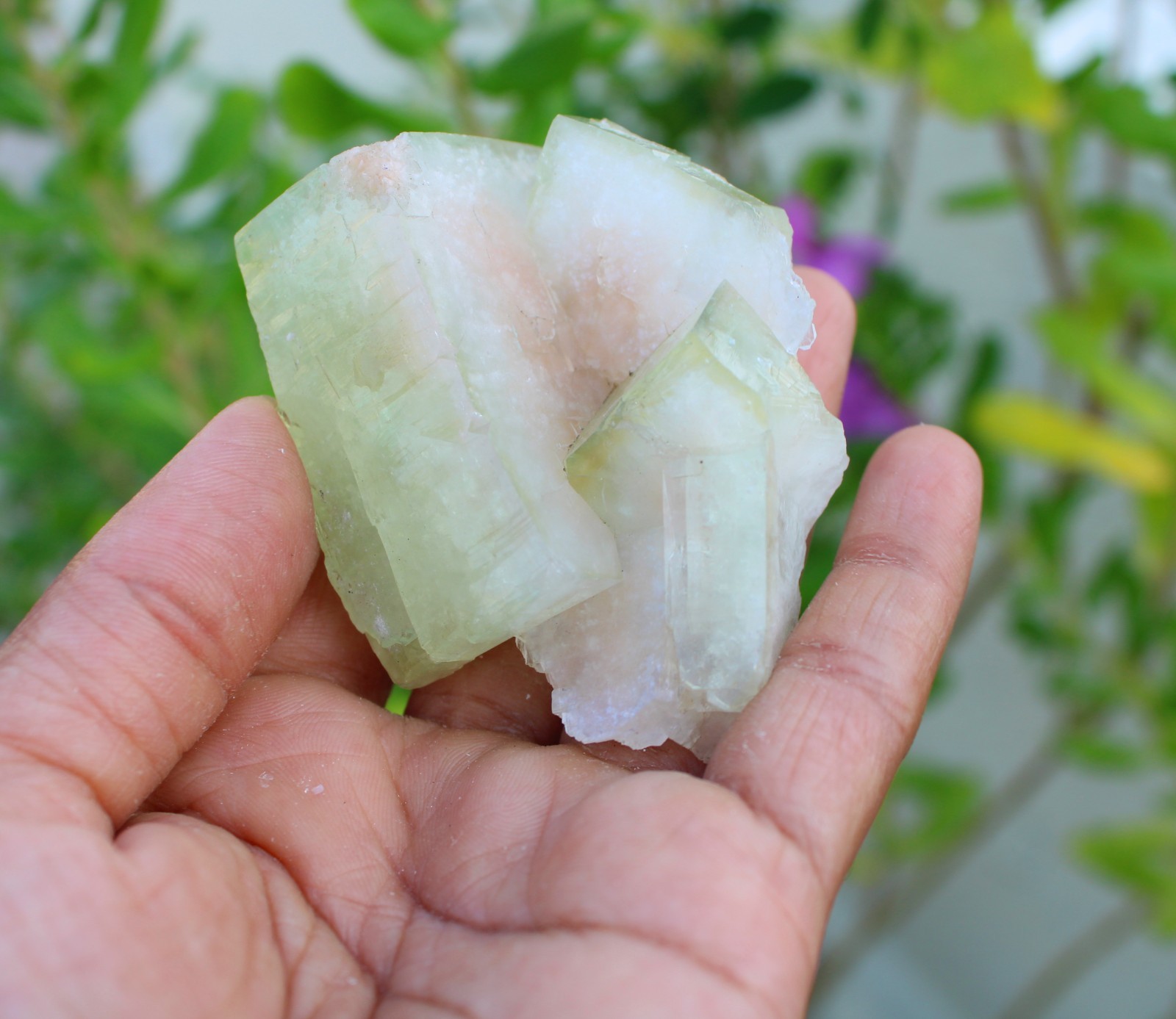 Green Apophyllite Crystals Minerals Specimen #A49