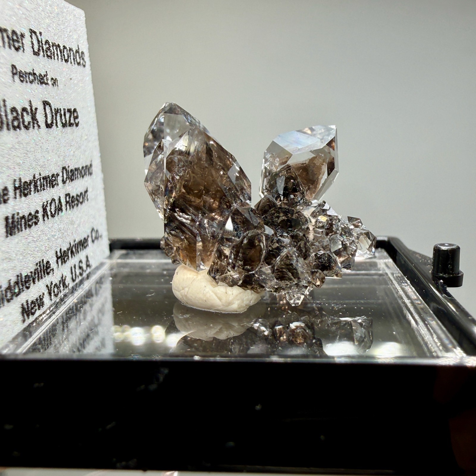 Herkimer Diamond Gems Perched on Druzy Matrix, Complete Floater, Top Shelf Piece