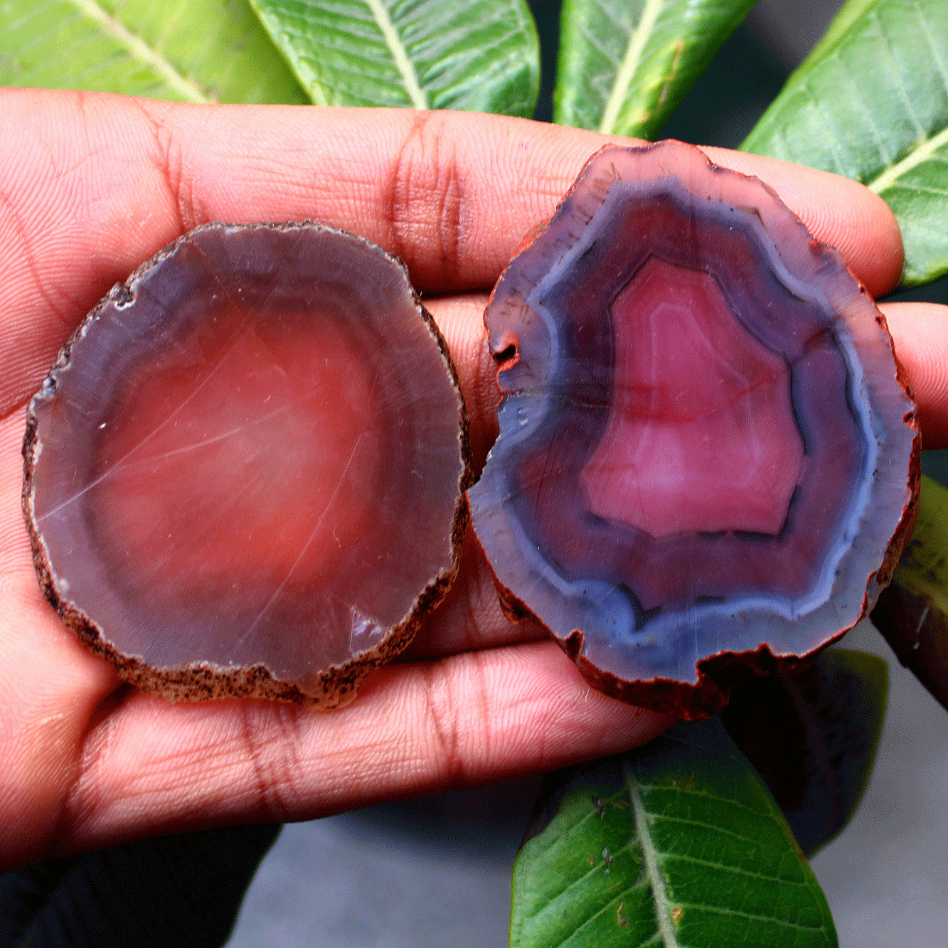 2 Pcs Natural Botswana Agate Raw Crystal Slice Druzy Slab Reiki Mineral Specimen