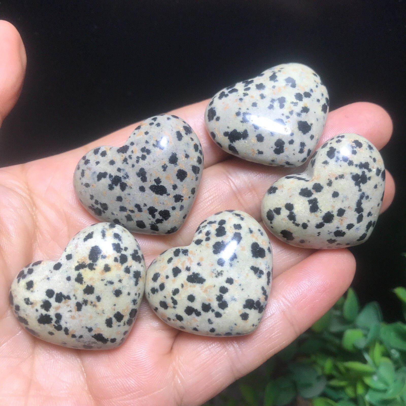 5PC 84g Natural Dalmatian Jasper Crystal Heart Crystal Home Office Decorative