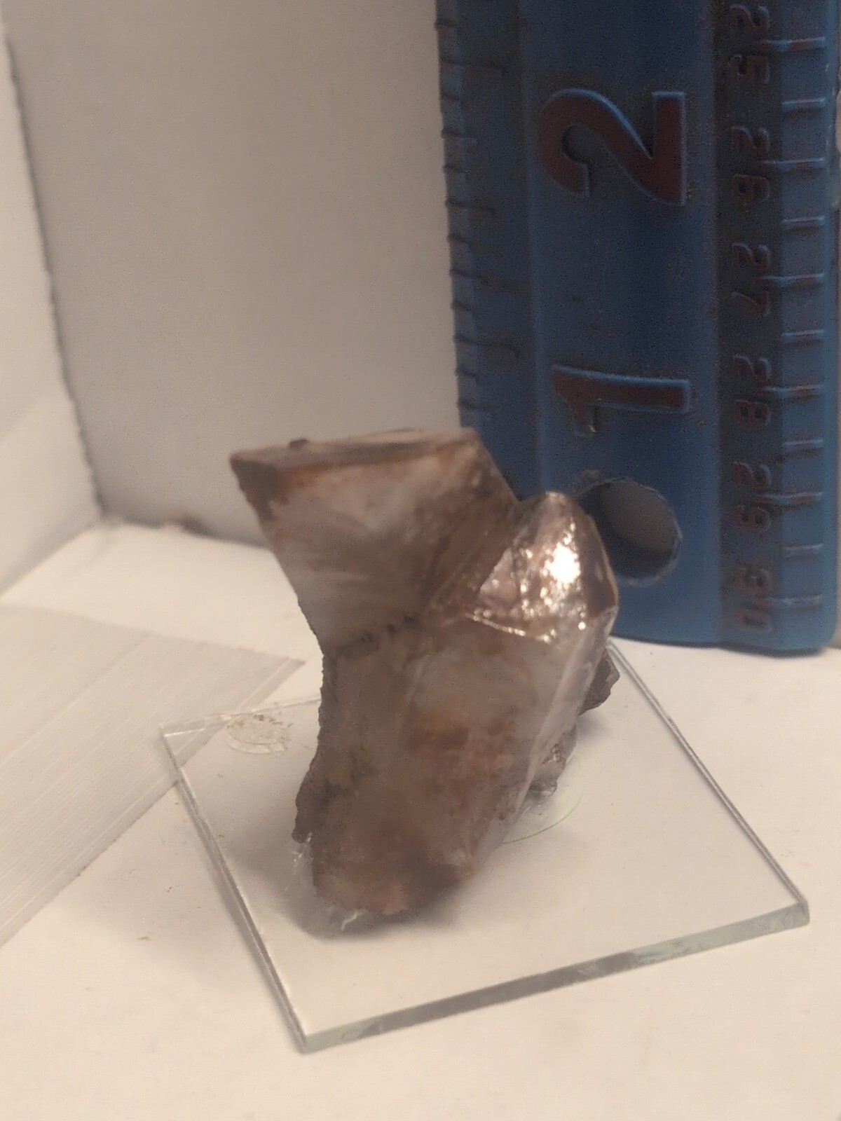 Rose Quartz Point Hand Dug Colorado United States Crystals Specimen Science