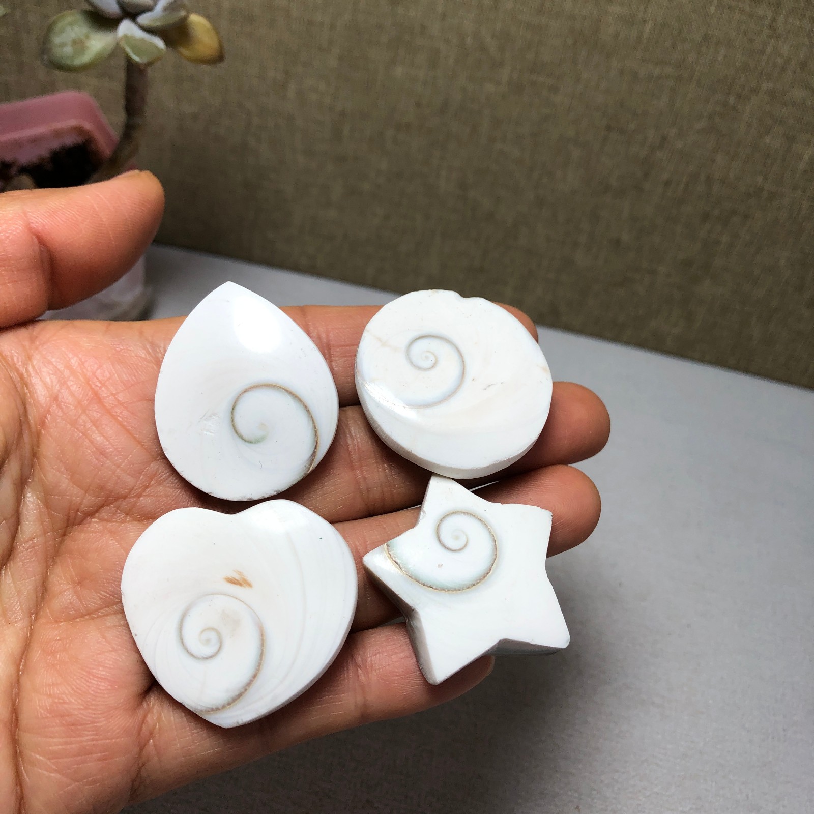 4pcs Rare sun shell Reiki Shiva Eye ocean semi-precious stone 75g A2758