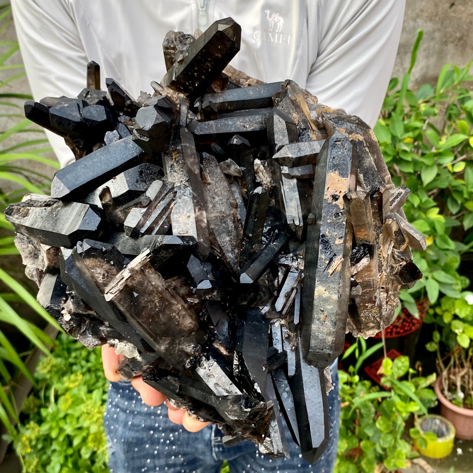 12.78LB Large Natural Smoky Black Quartz Cluster Crystal raw Specimen Healing