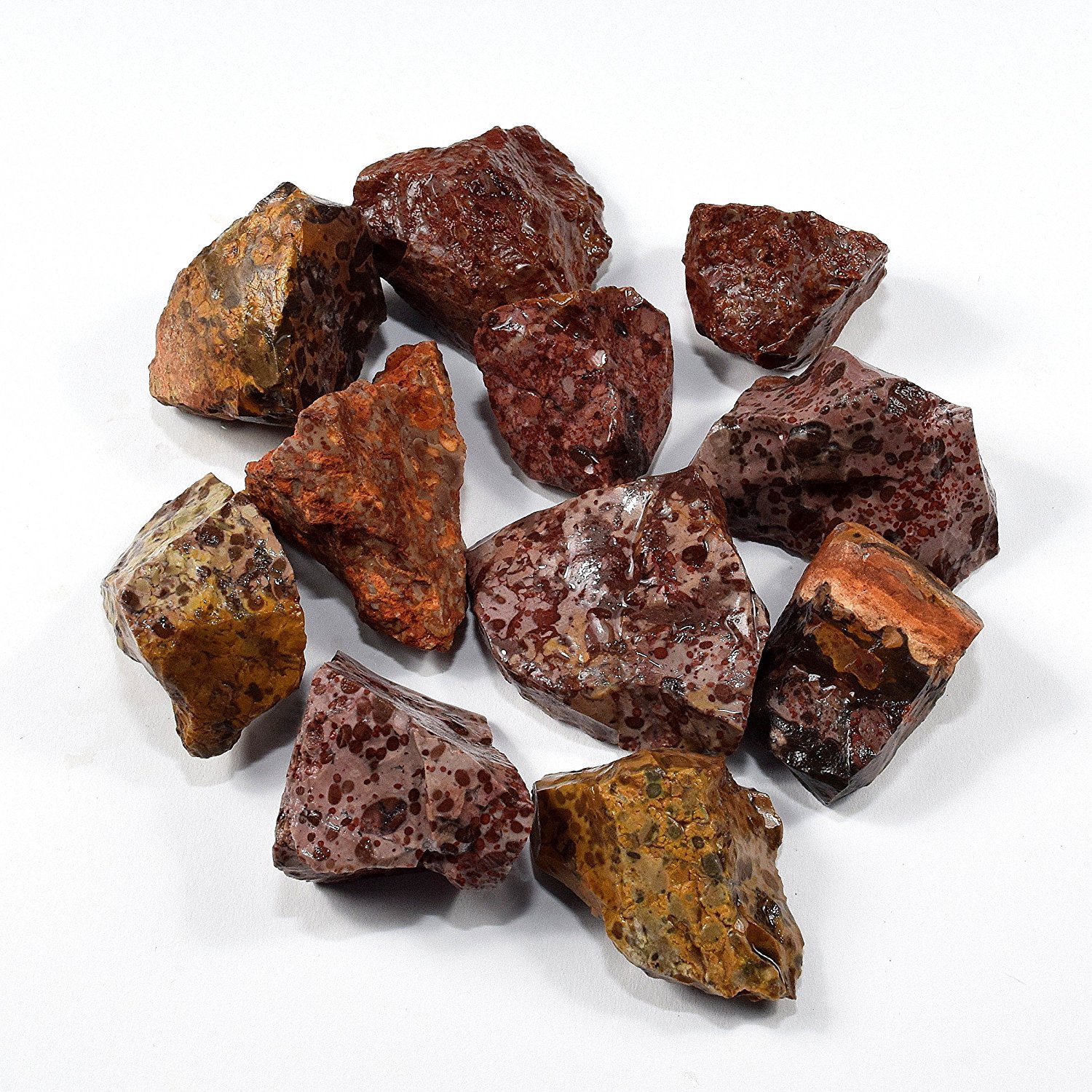 32oz Natural Tiger Jasper Rough Stones Leopardskin Grystal Mineral Cabs – Brazil