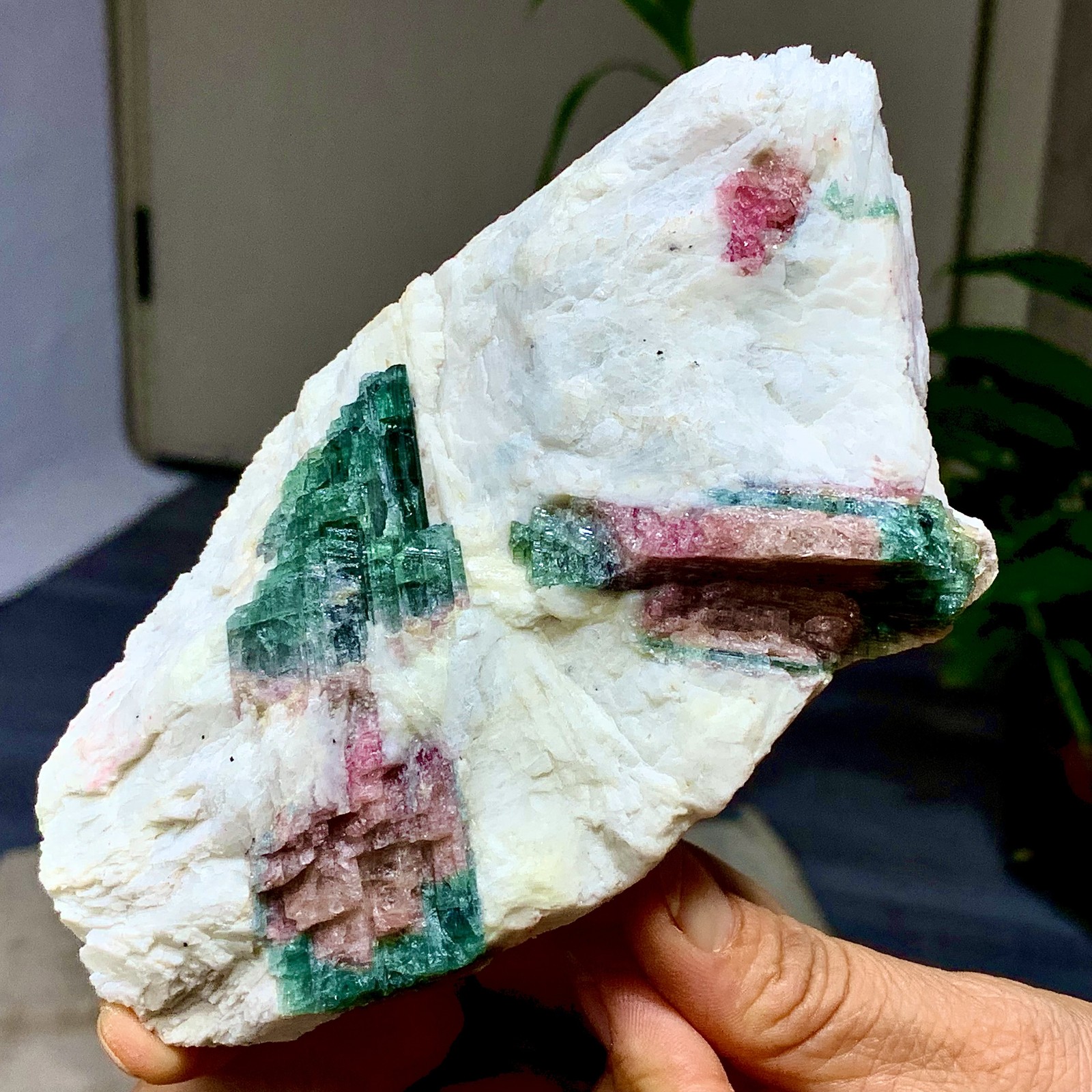 449G Natural pink-green tourmaline quartz crystal cluster mineral specimen