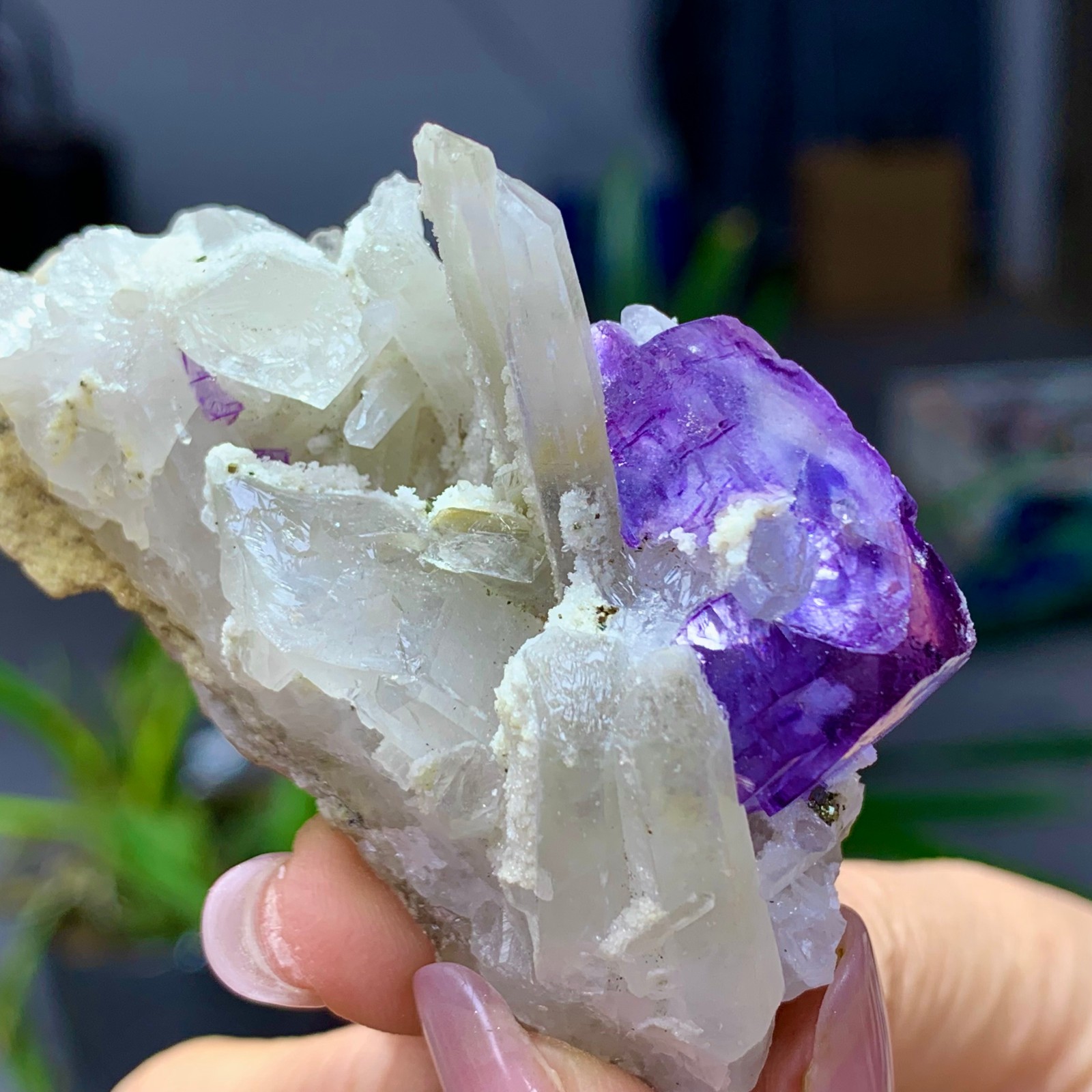 50G Natural transparent purple fluorite coexists with white crystal/Yaogangxian