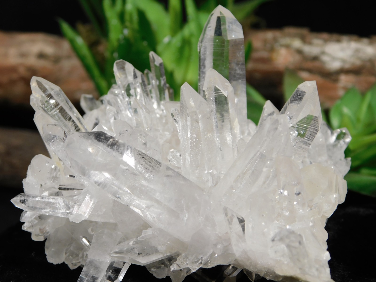VERY TRANSLUCENT Quartz Crystal Cluster Collier Creek ARKANSAS 147gr