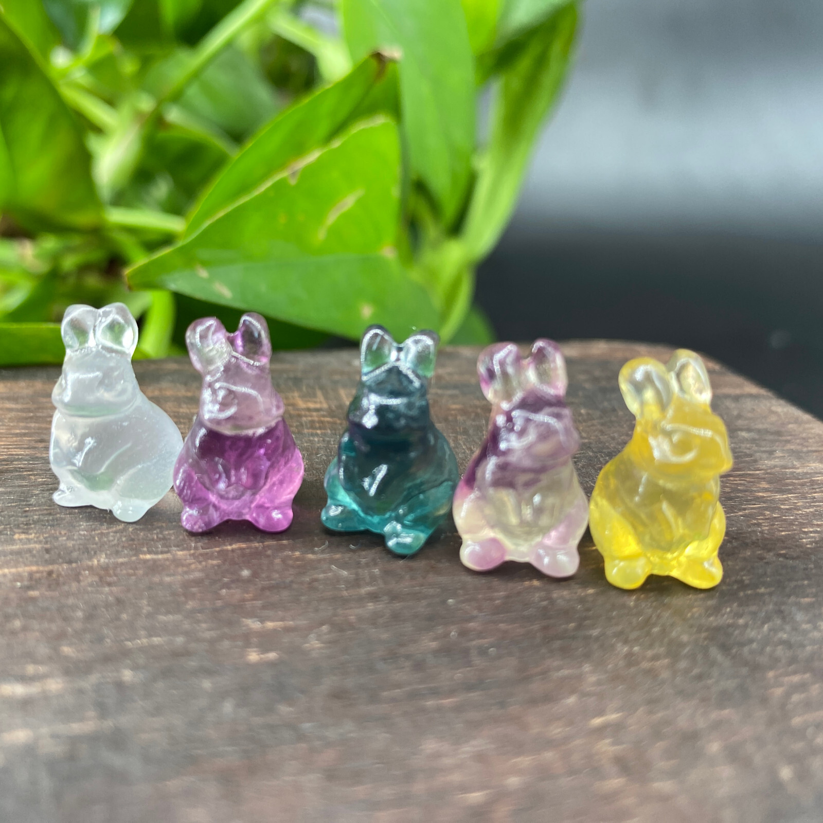 5pc Natural fluorite carved mini rabbit quartz crystal reiki healing