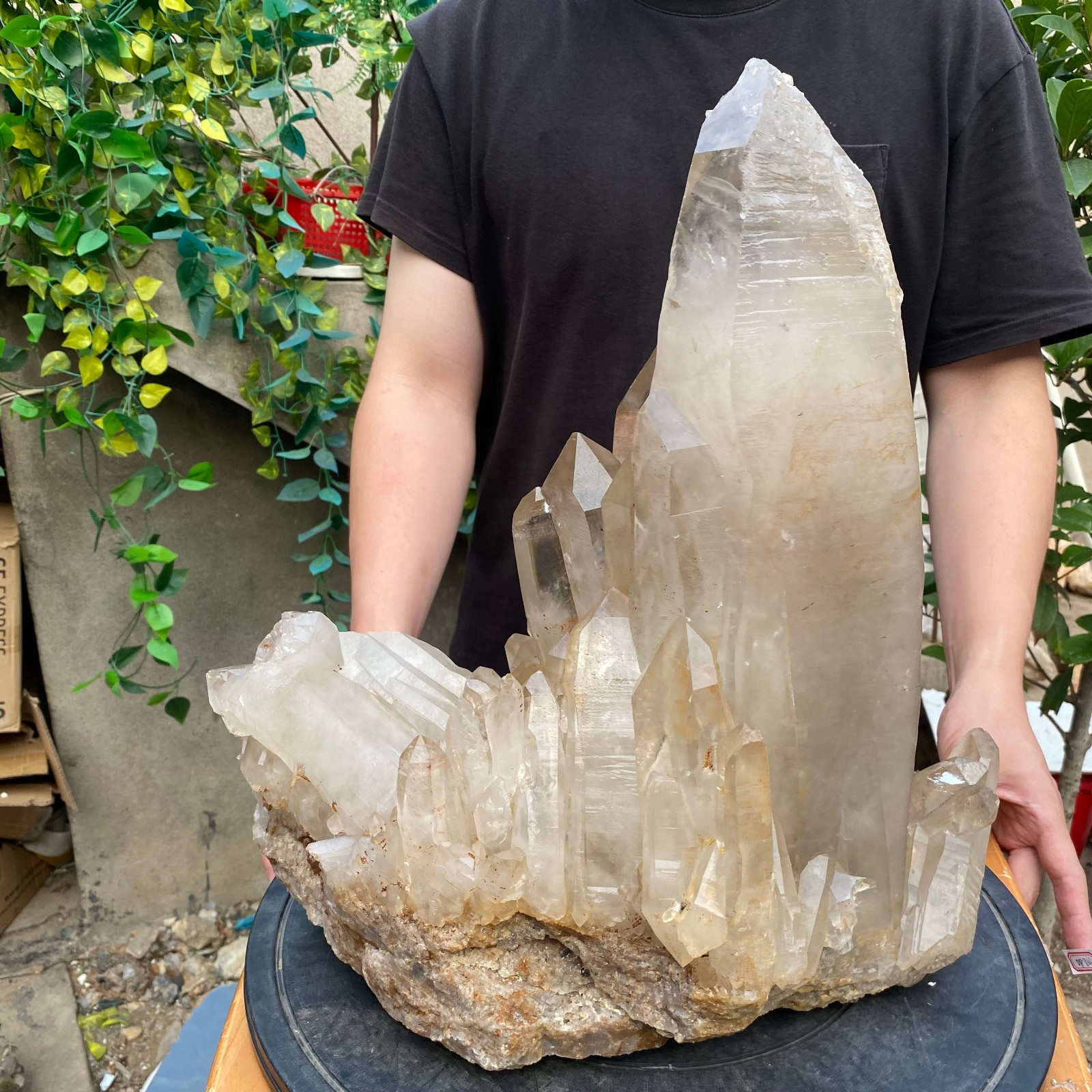 23900G A+Large Natural clear white Crystal Himalayan quartz cluster /mineralsls
