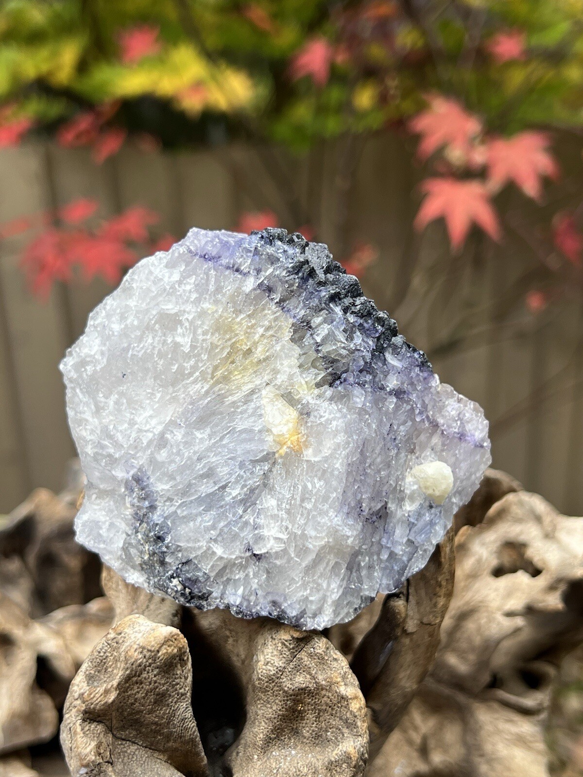 Blue John Fluorite Mineral Specimen United Kingdom 307g 10