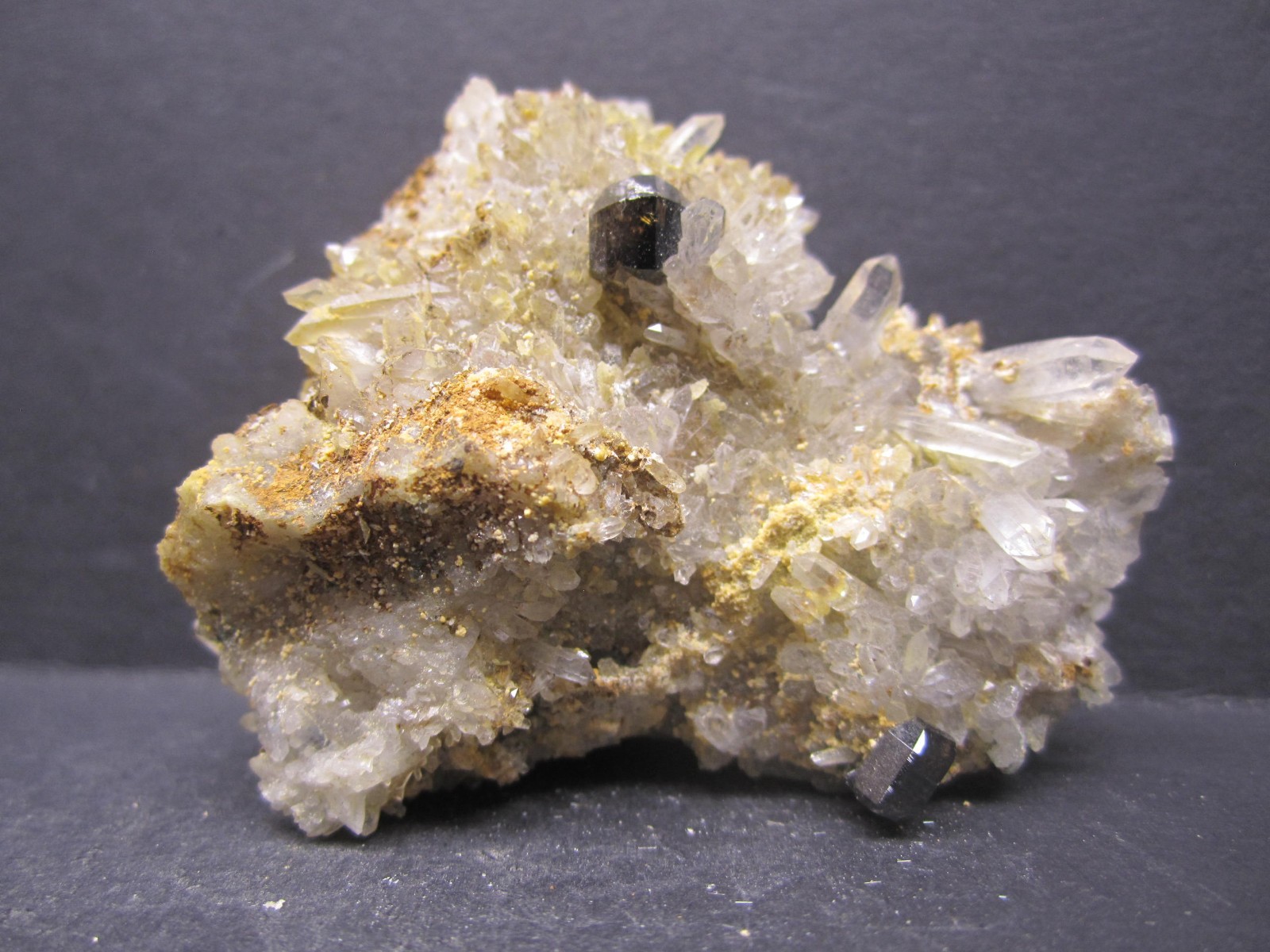 Cassiterite on Quartz, Viloco Mine, Bolivia #7