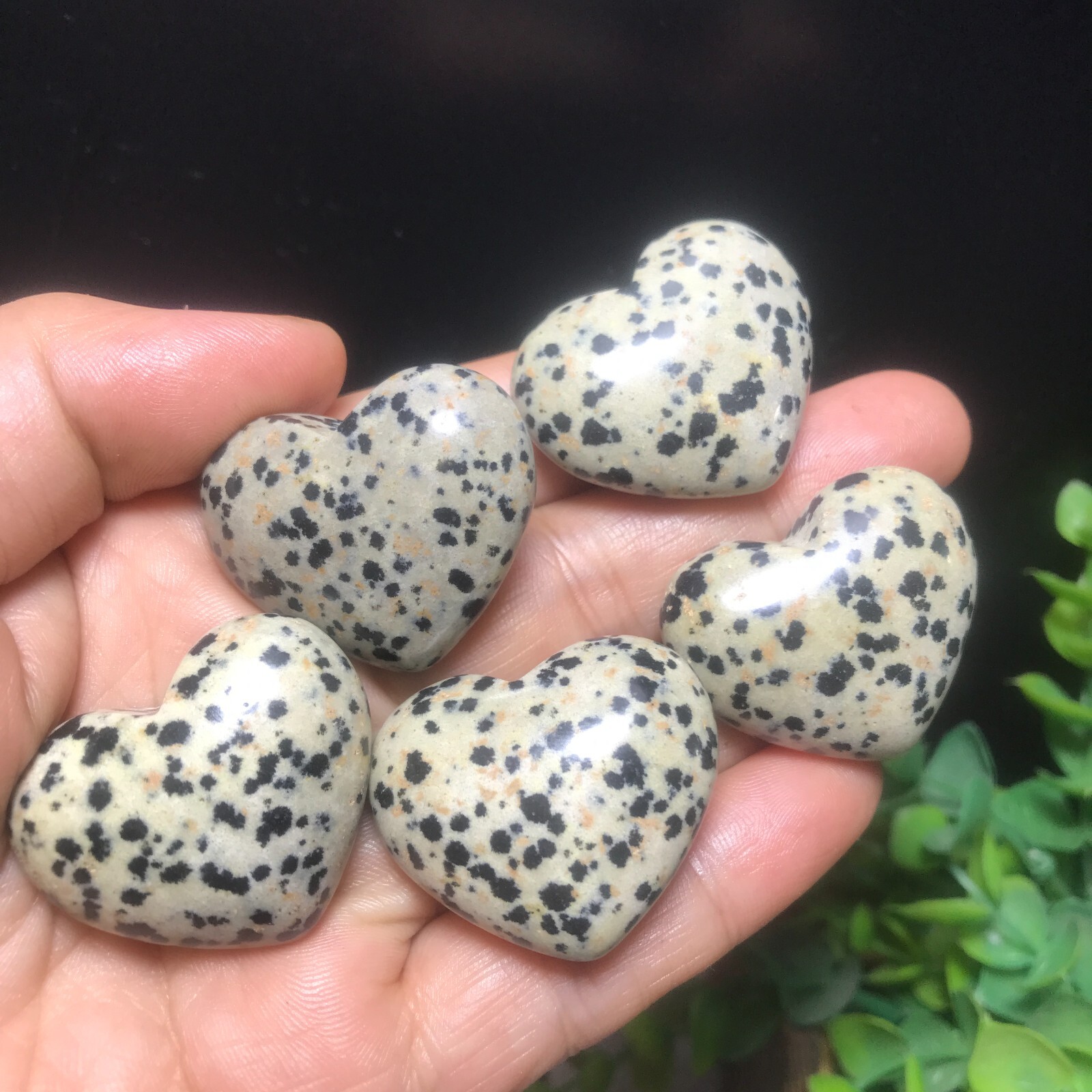 5PC 84g Natural Dalmatian Jasper Crystal Heart Crystal Home Office Decorative