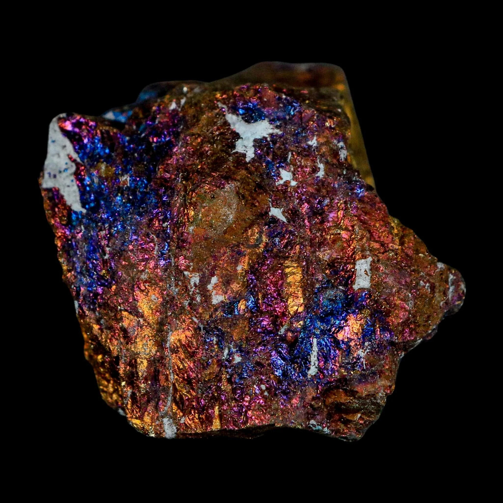2.6″ Chalcopyrite Bornite Brilliant Multicolored Peacock Ore Chihuahua Mexico