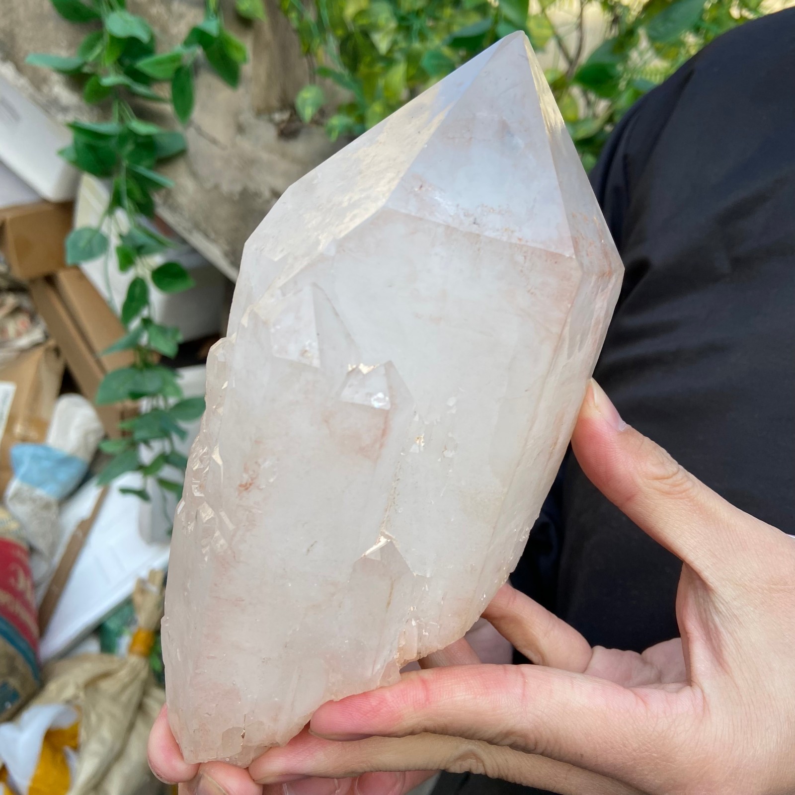 3.5lb Natural Clear White Quartz Crystal point Rough Healing Specimen