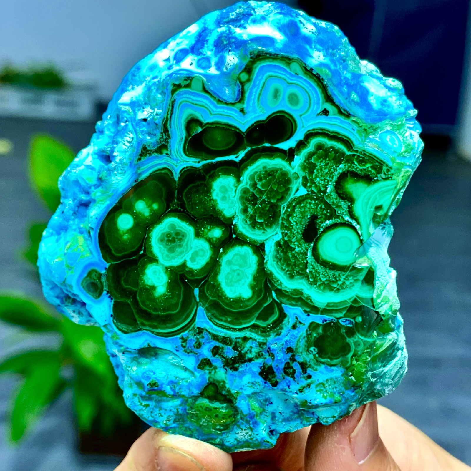 205G Natural Chrysocolla/Malachite transparent cluster rough mineral sample