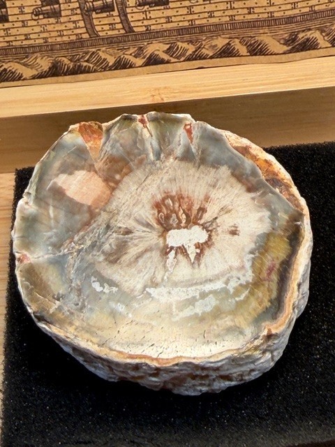 rocks fossils minerals crystals display specimen