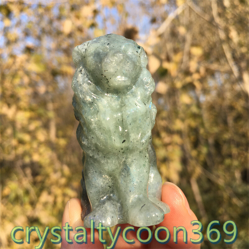 2″+ Natural Labradorite Quartz Carved Lion Crystal Gift Skull Reiki Healing 1pc