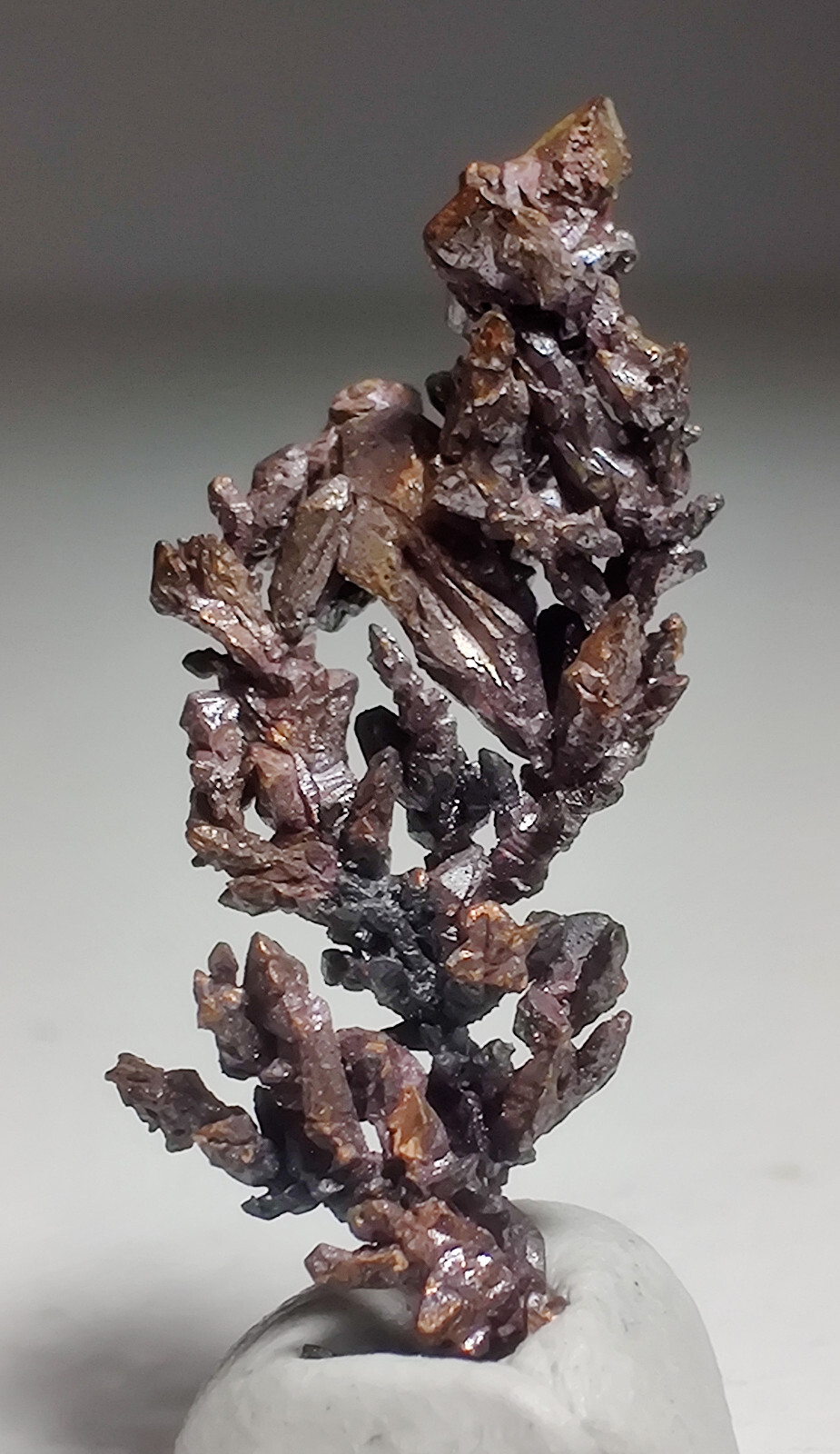 Copper crystals, lovely aborescent form. Itauz Mine, Kazakhstan. 2.5 cm.