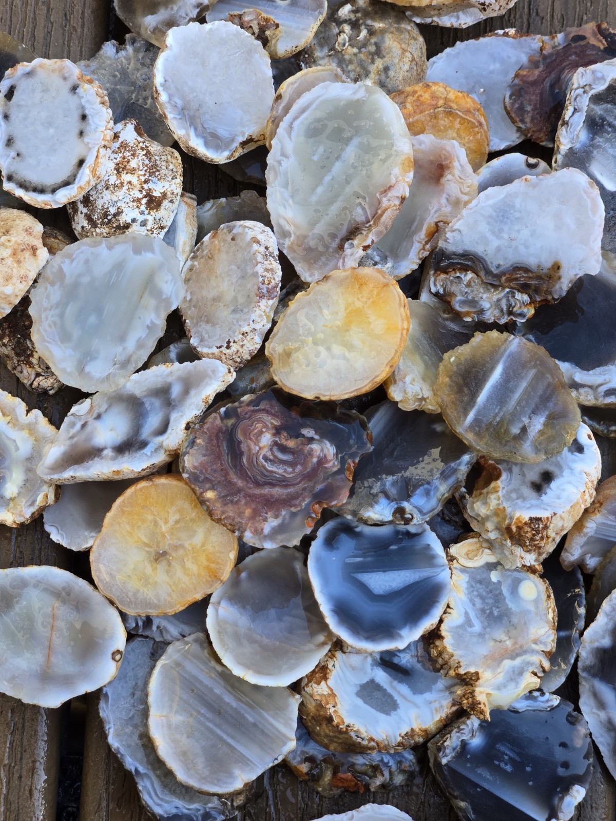 Oco Agate Geode Cut Halves and Slices – 1 Pound Lb – Solid Agate Tumbling Rough