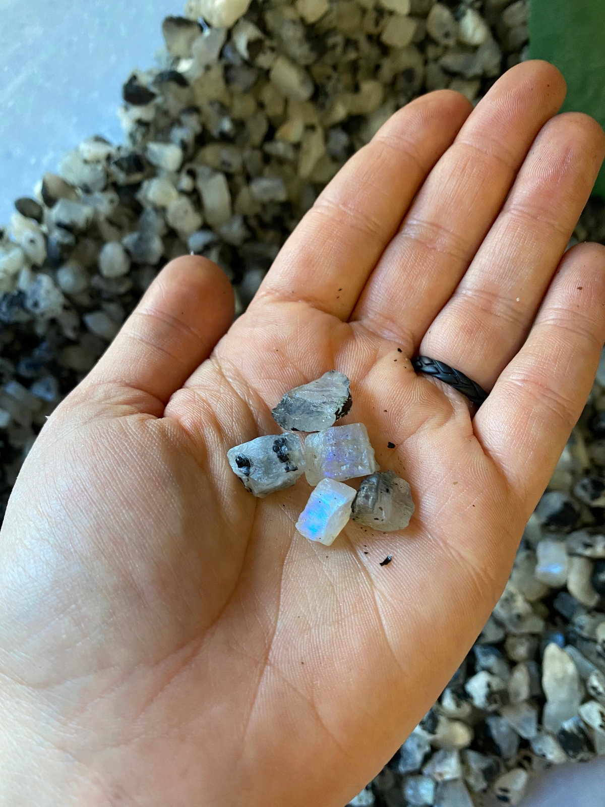 Raw Rainbow Moonstone (Grade AA) Natural Rough Rainbow Moonstone Gemstone