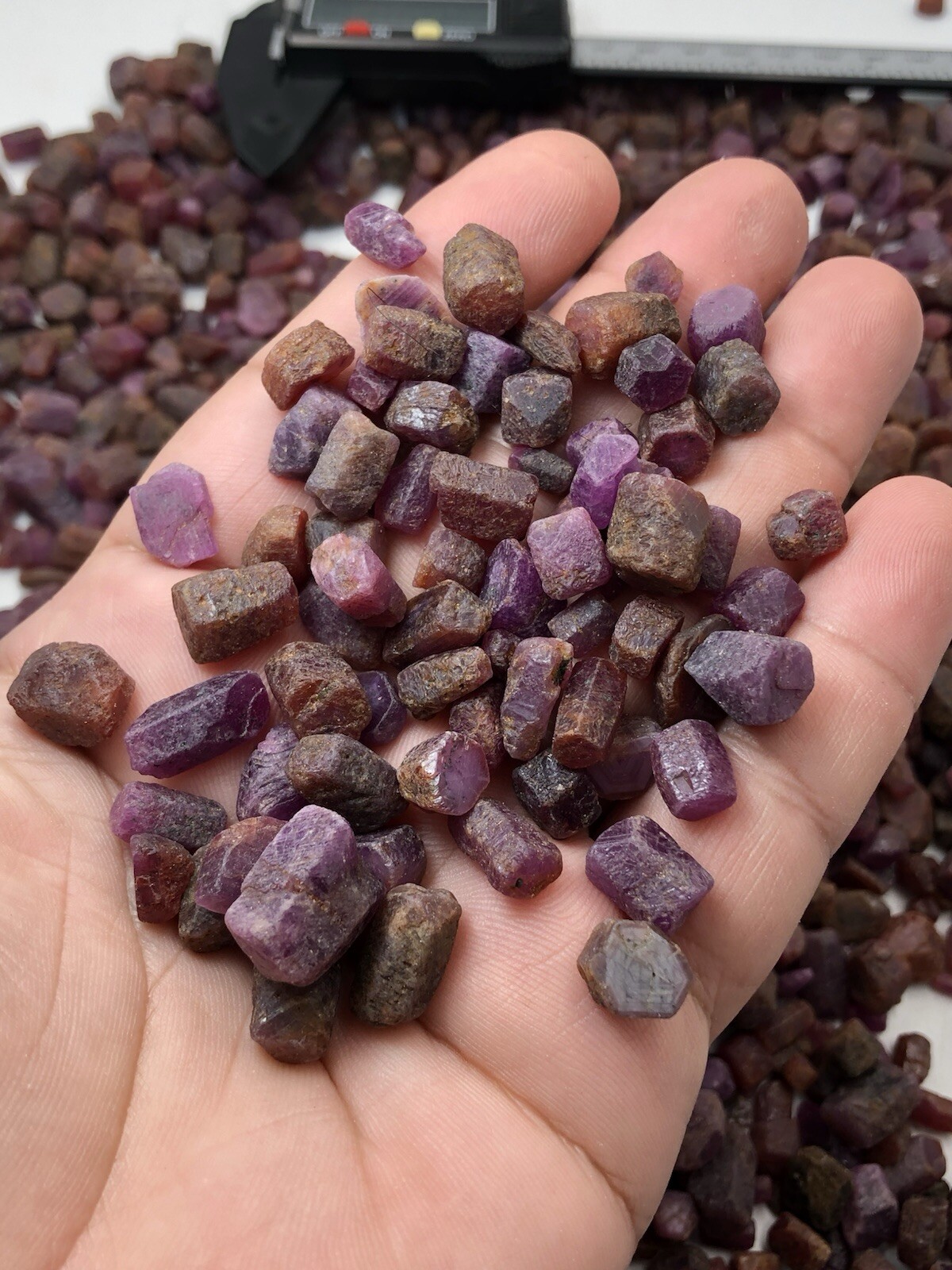 1000 Gram( 1kg)Natural Ruby Crystal Selection Parcels Ready for fancy Jewellery,