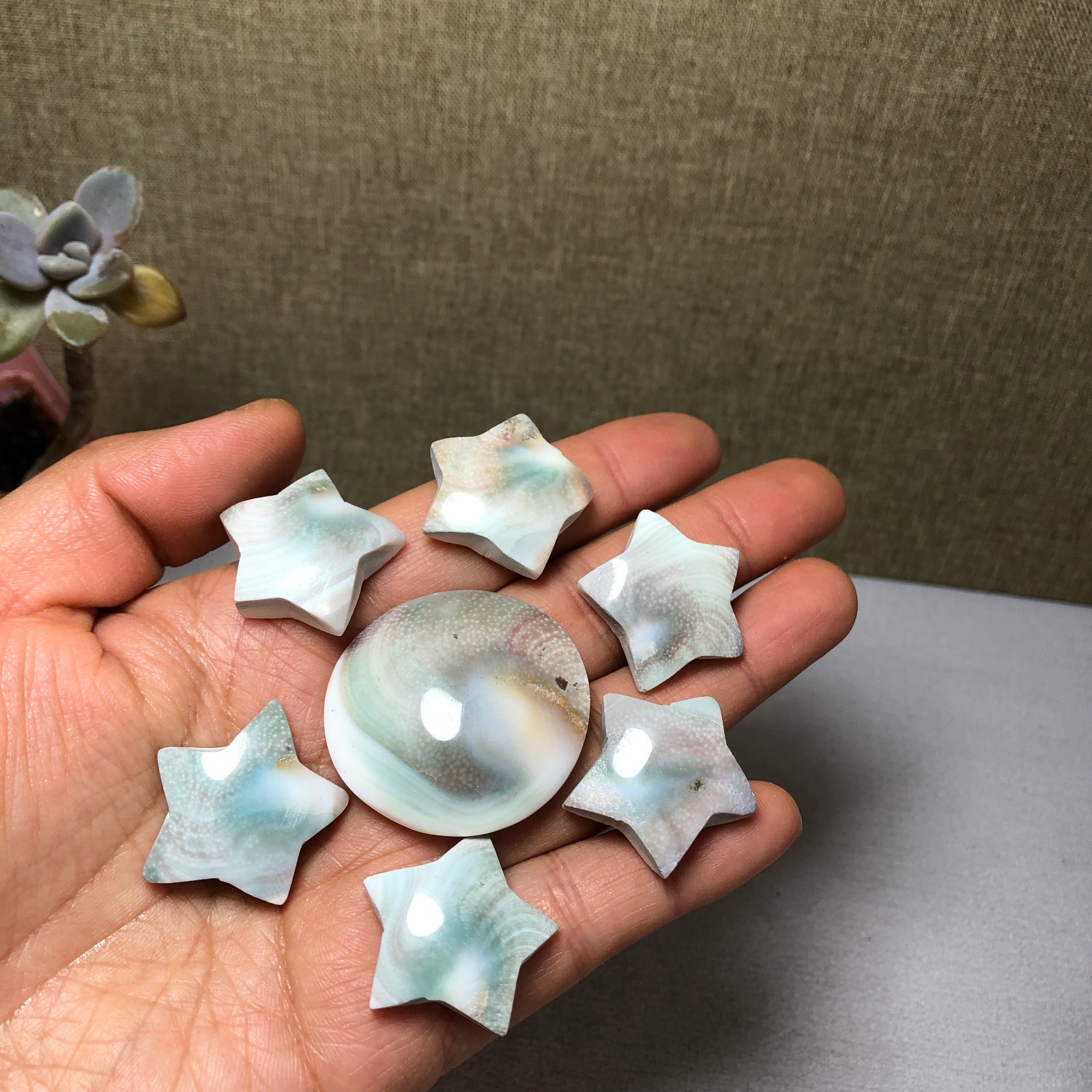 7pcs Rare sun shell Reiki Shiva Eye ocean semi-precious stone 57g A2762