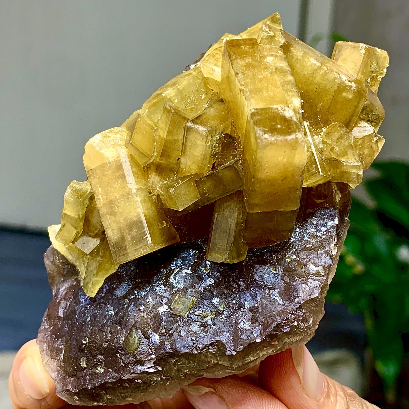 338G Shiny Golden Cuboid Barite Crystal Based on the Purple Spherical Fluorite