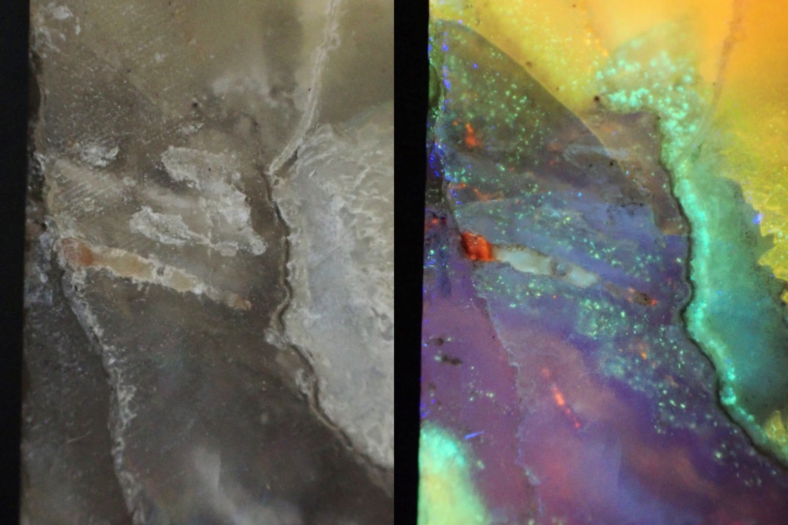 Beautifully fluorescent Hokkaidoite and opals containing organic minerals B262