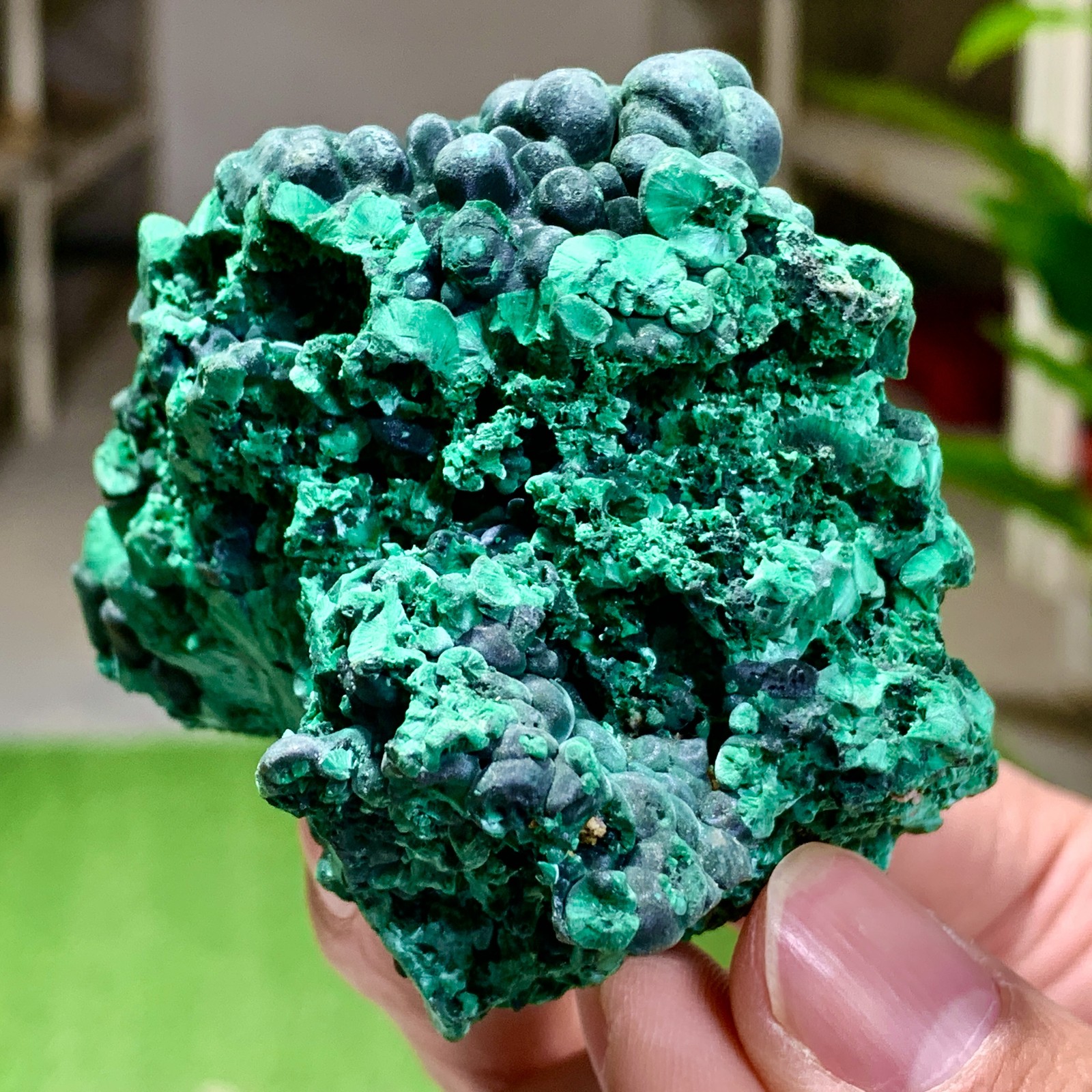 205G Natural glossy malachite cat eye transparent cluster rough mineral Sample