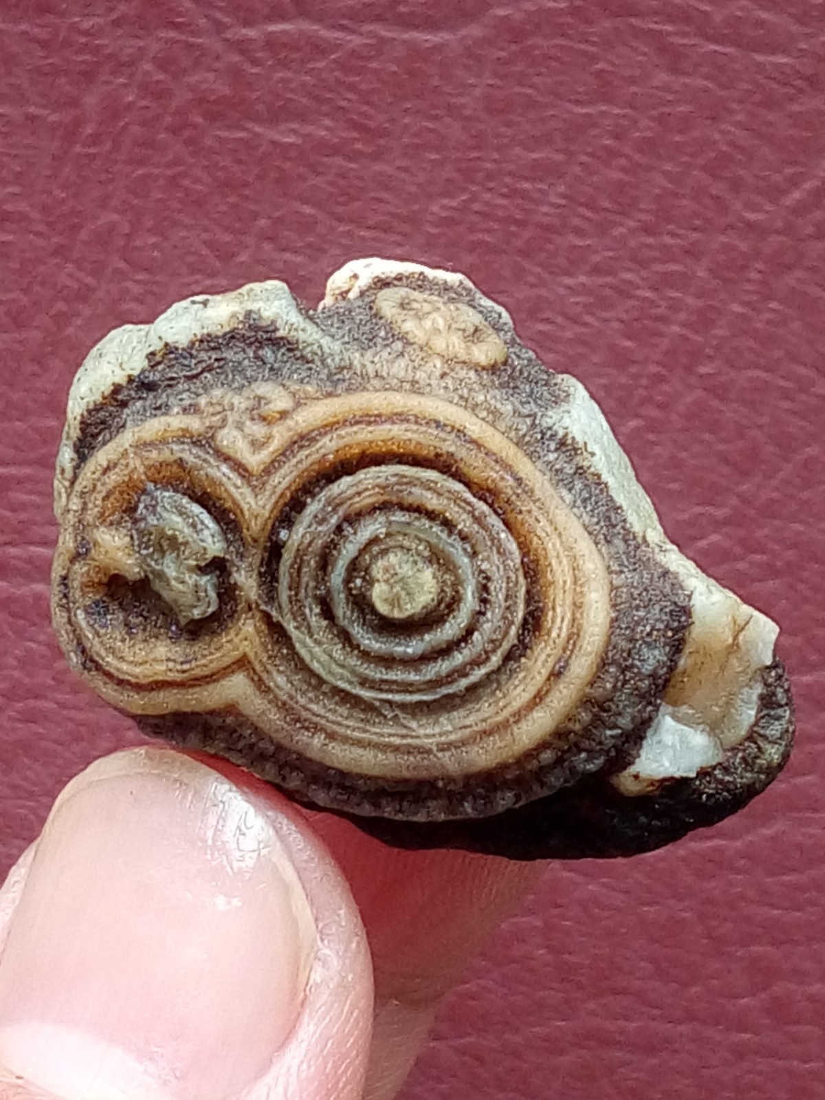 34mm Natural agate Gobi agate eye agate cute collection