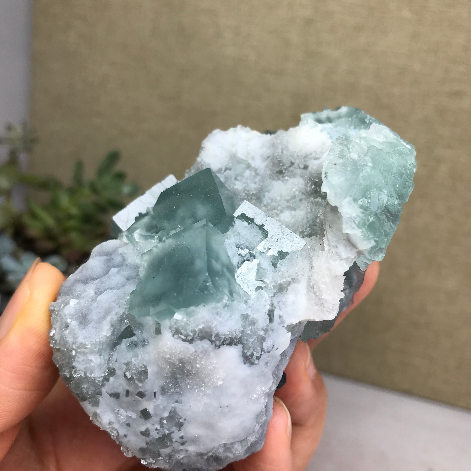 271g NATURAL Green Cubic FLUORITE paragenesis Crystal Cluster Specimen A4776