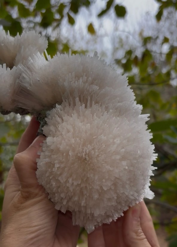 Extraordinary Large Scolecite Spray with Green Apophyllite – Ahmadnagar, India