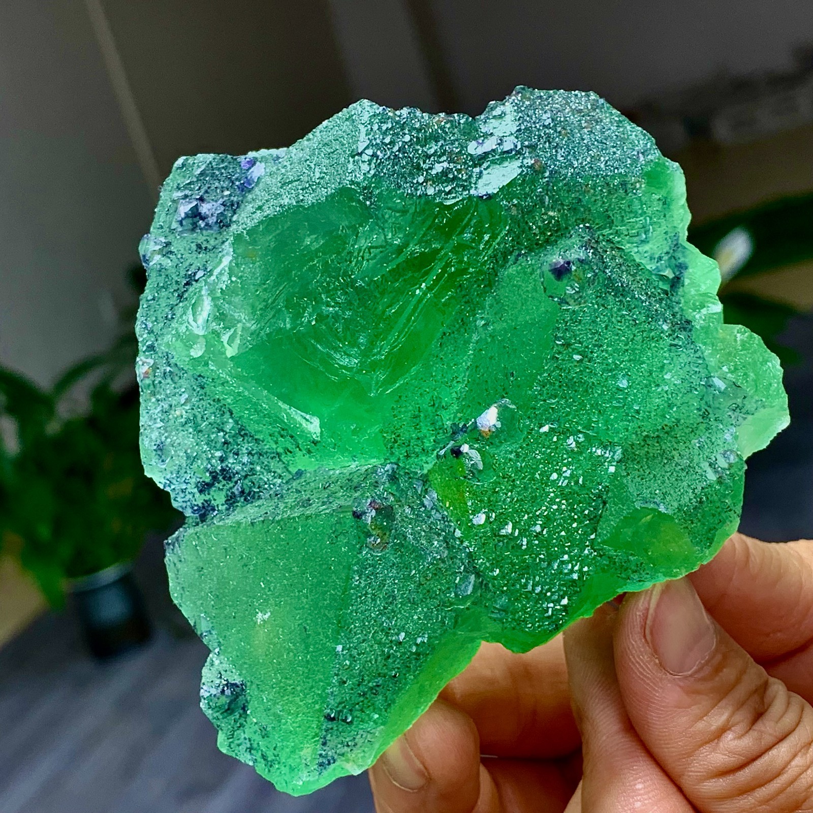 1.24LB Rare transparent green cubic Zhejiang fluorite mineral sample