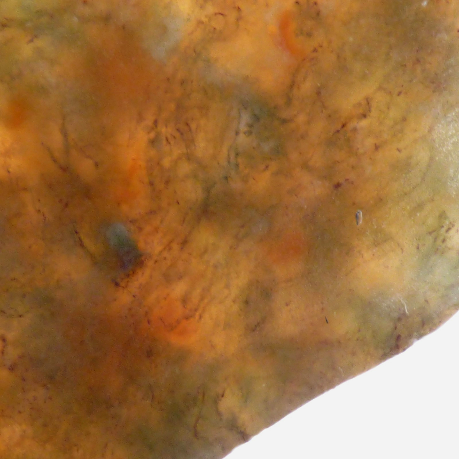Red Green Moss Agate Slice UNPOLISHED For Collector or Lapidary 6.5cm x 3.5cm