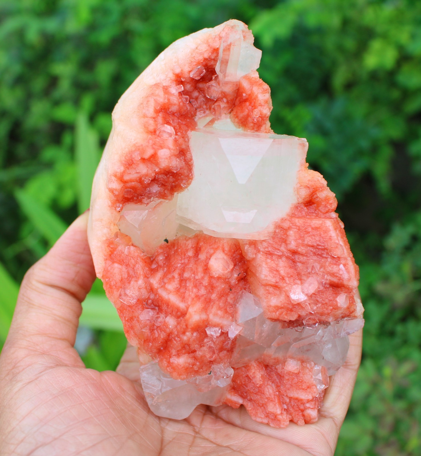 APOPHYLLITE CRYSTAL ON RED STILBITE MATRIX MINERAL SPECIMEN